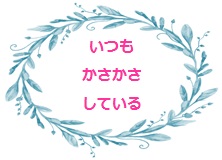 いつもかさかさしている